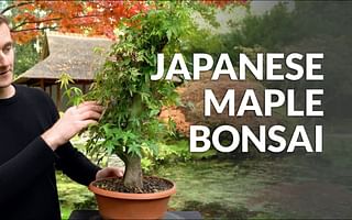 Can any small growing tree planted in a pot become a bonsai?