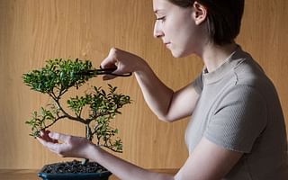 Can bonsai trees be grown indoors?