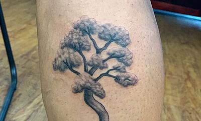 How can I create or achieve 'balance' in bonsai?