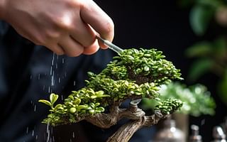How can I protect my Jade Bonsai from 'Mealy Bugs'?