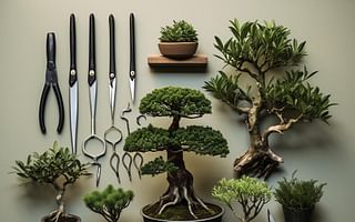 How can I select the appropriate tools for bonsai care?