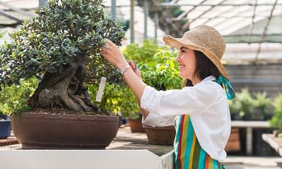 How do I care for a serissa bonsai?