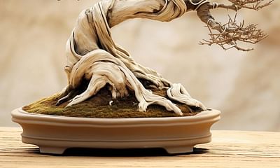 How long can a bonsai tree go without water?