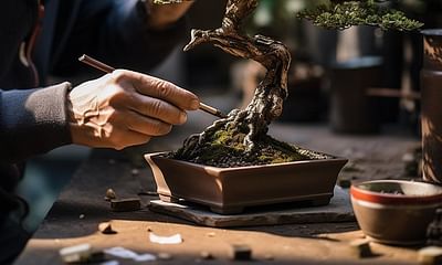 How long should I wait before repotting my newly purchased bonsai tree?