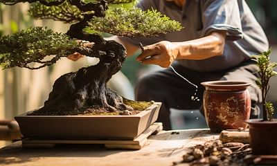 How often should I fertilize my bonsai tree?
