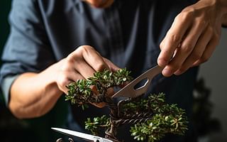 How often should I prune and train my bonsai tree?