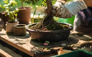 How to deal with pests and diseases on bonsai trees?
