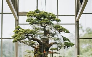 Is it possible to grow bonsai trees in a greenhouse?