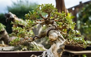 What are common pests and diseases that affect bonsai trees?