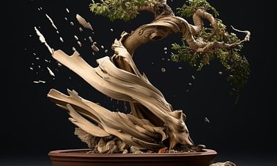 What are some possible causes of a bonsai tree wilting?