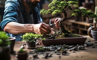What are the best practices for repotting a bonsai tree?