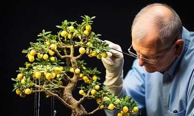 What are the common bonsai diseases and how can they be prevented?