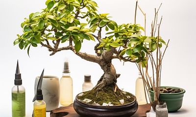 What are the common diseases that affect bonsai trees and how can they be treated?