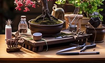 What are the requirements for growing a bonsai plant?