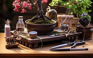 What are the requirements for growing a bonsai plant?