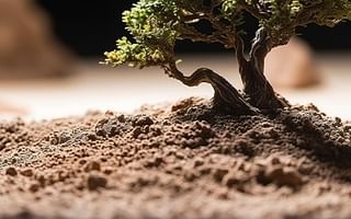 What is bonsai soil and what qualities are required for a good bonsai soil?