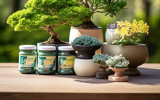 What is the ideal inorganic fertilizer for a bonsai tree?