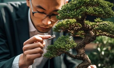 What is the most important question about growing a bonsai tree?