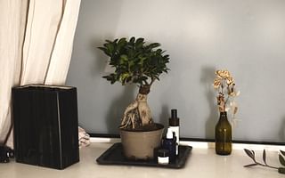 🌳 Bonsai Tree Shaping Tools and Techniques Quiz 🌿