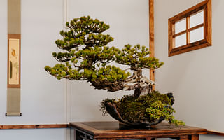 🌳 Take the Bonsai Tree Health Signs Quiz 🌿